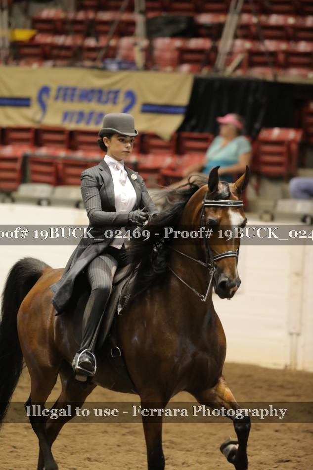 Proof 19BUCK_02469