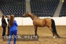 19BUCK_02472 proof