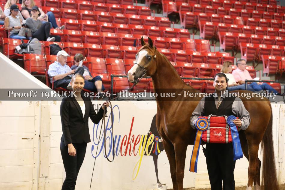 Proof 19BUCK_02476