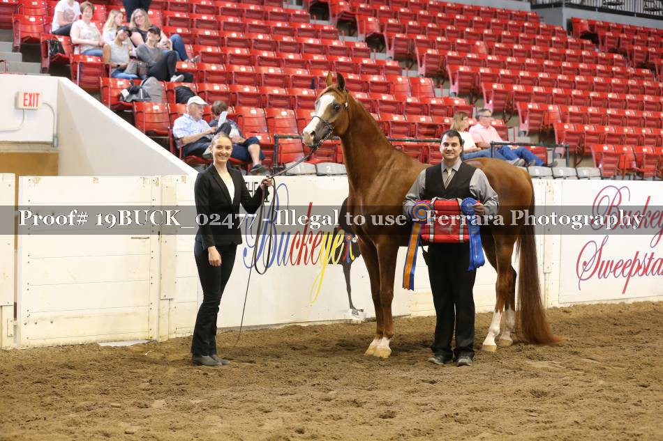 Proof 19BUCK_02477