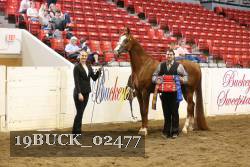 19BUCK_02477 proof