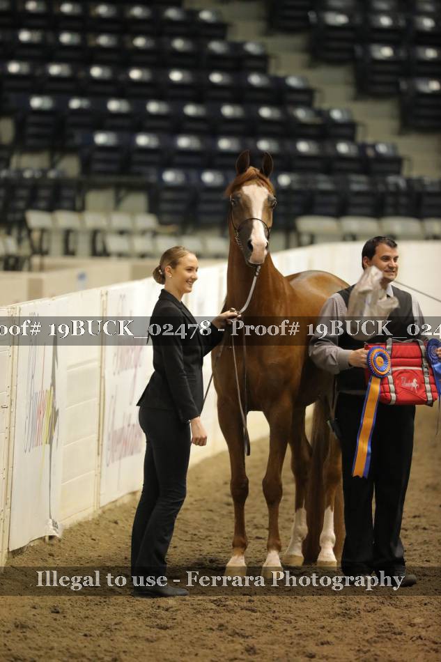 Proof 19BUCK_02478