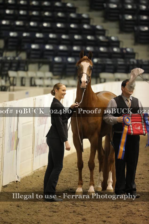 Proof 19BUCK_02480