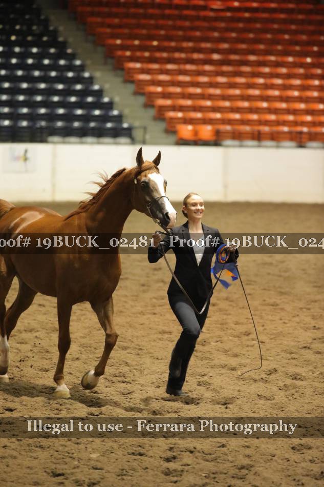 Proof 19BUCK_02481