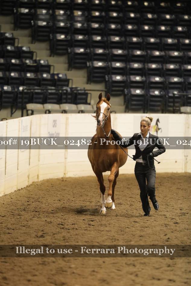 Proof 19BUCK_02482