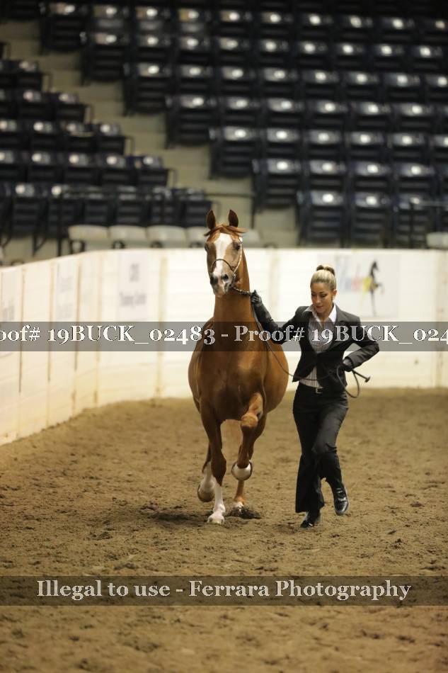 Proof 19BUCK_02483