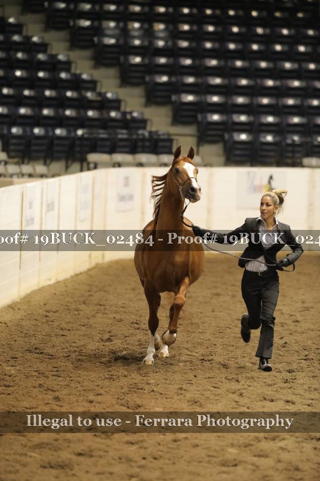 Proof 19BUCK_02484