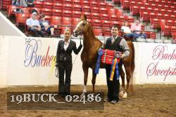 19BUCK_02486 proof