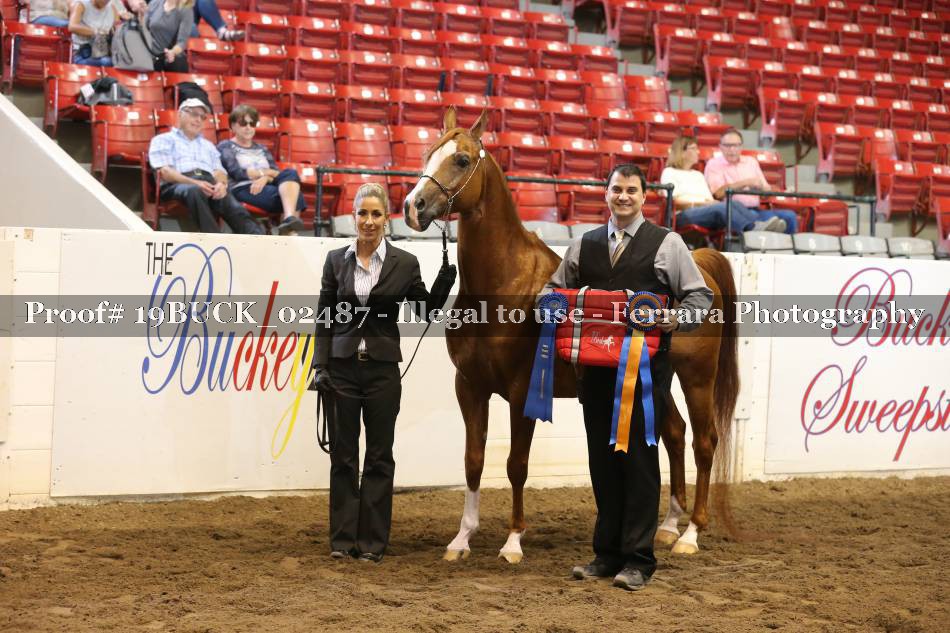 Proof 19BUCK_02487