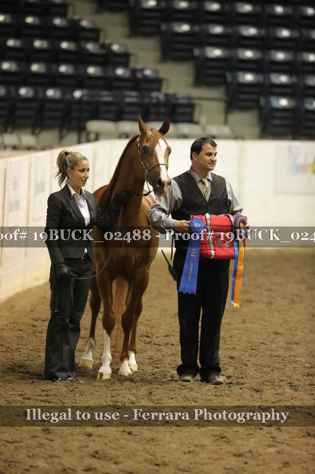 Proof 19BUCK_02488