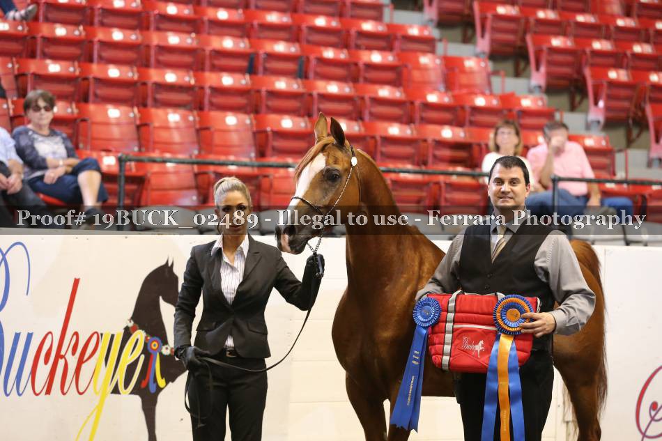Proof 19BUCK_02489
