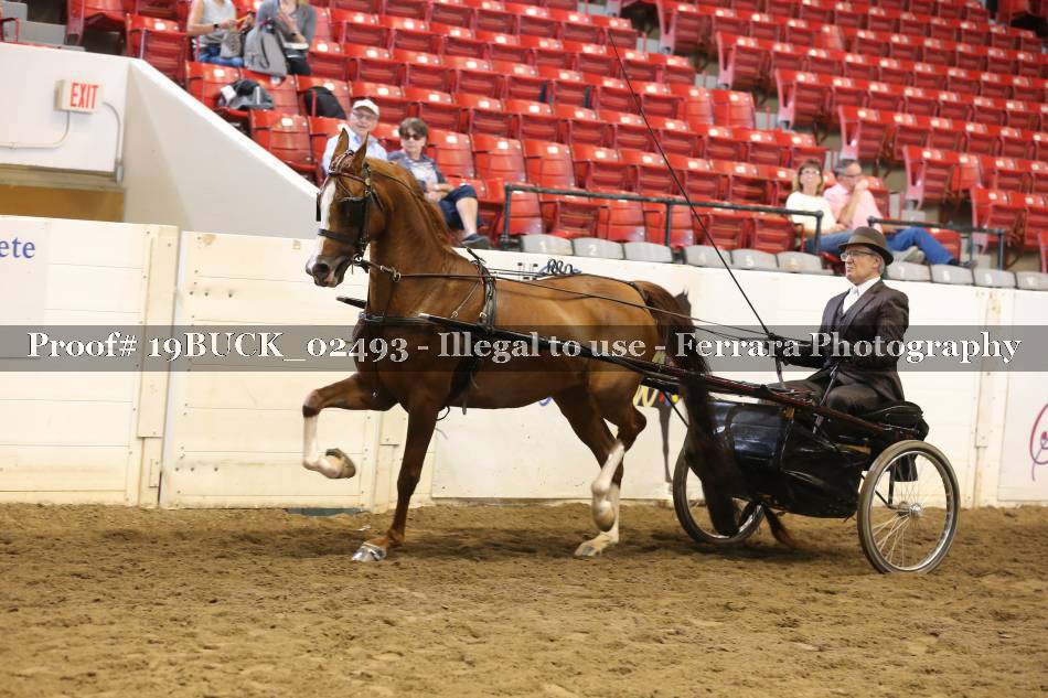 Proof 19BUCK_02493