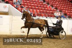19BUCK_02493 proof