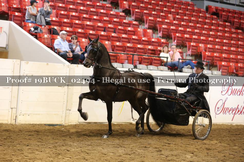 Proof 19BUCK_02494