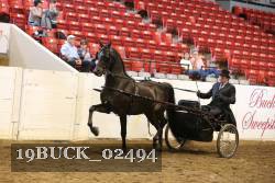 19BUCK_02494 proof