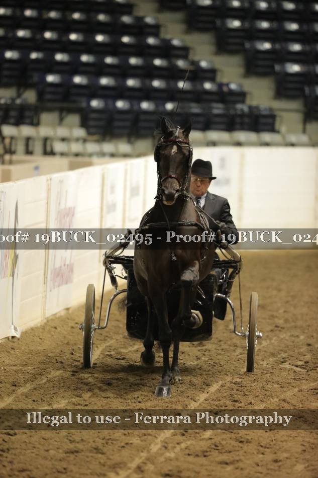 Proof 19BUCK_02495