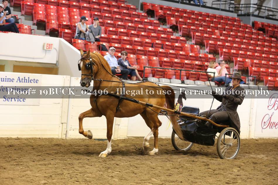Proof 19BUCK_02496