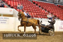 19BUCK_02496 proof