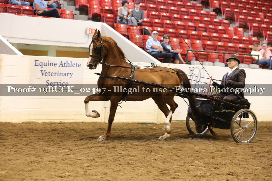 Proof 19BUCK_02497