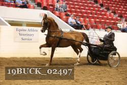 19BUCK_02497 proof