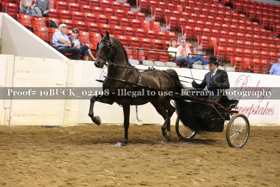 Proof 19BUCK_02498
