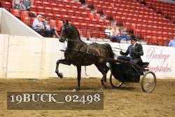 19BUCK_02498 proof