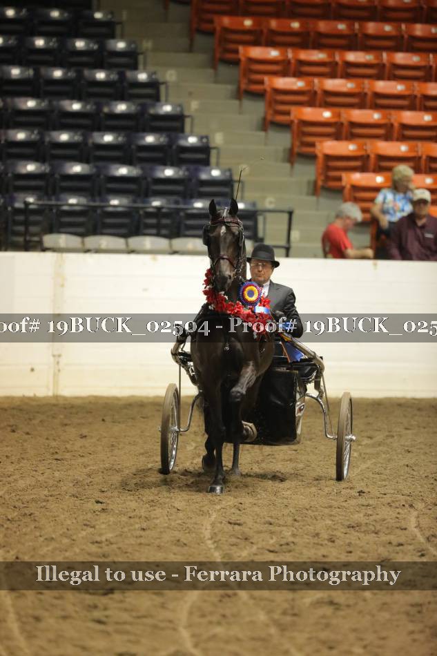 Proof 19BUCK_02504