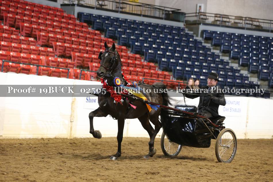 Proof 19BUCK_02505