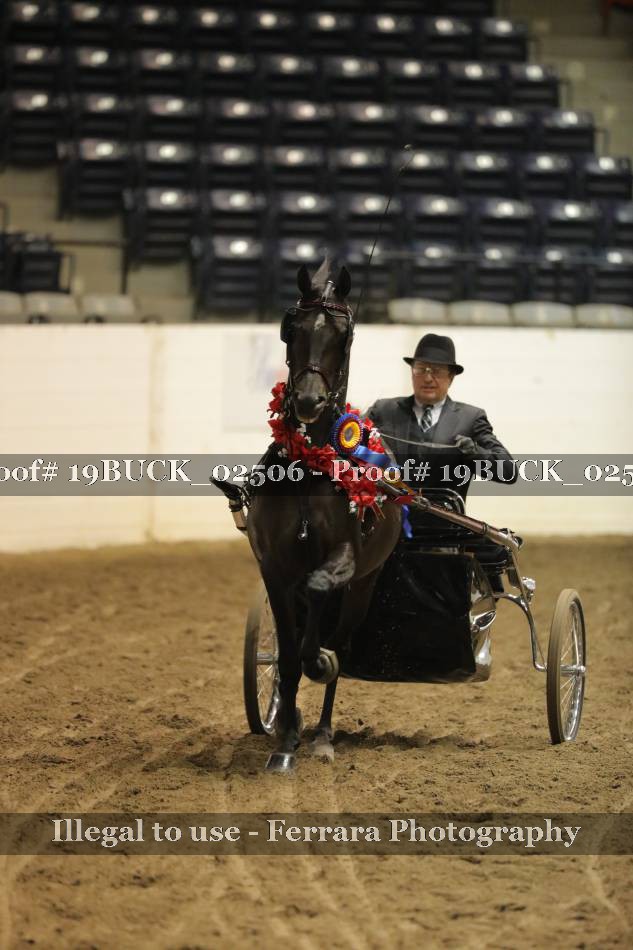 Proof 19BUCK_02506