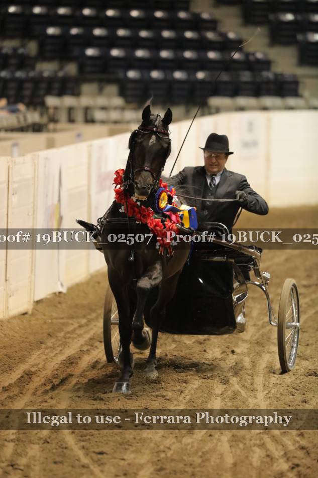 Proof 19BUCK_02507