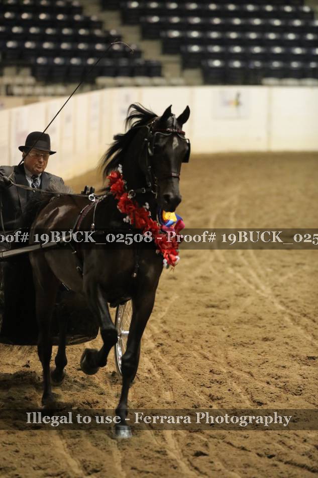 Proof 19BUCK_02508
