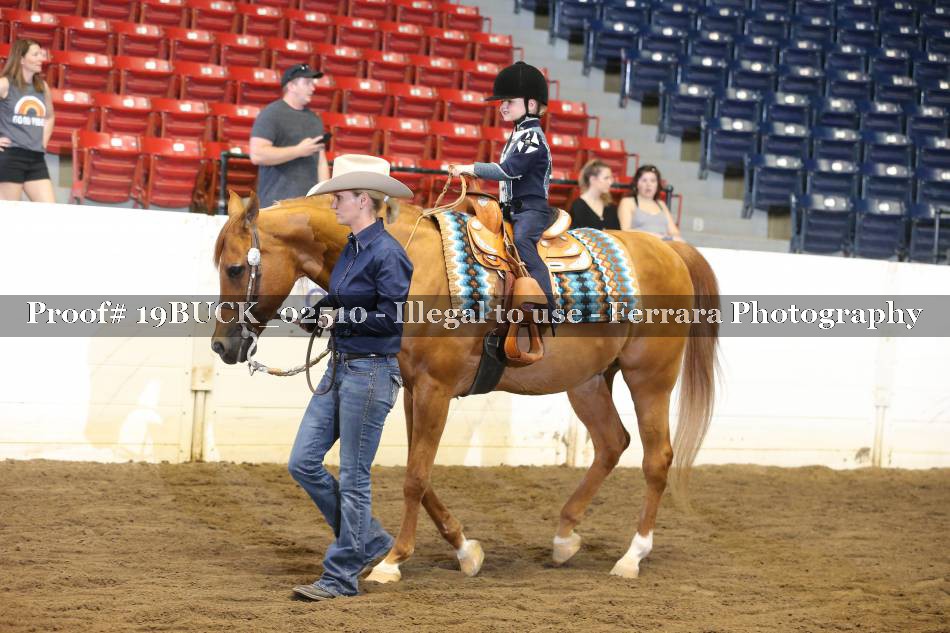 Proof 19BUCK_02510