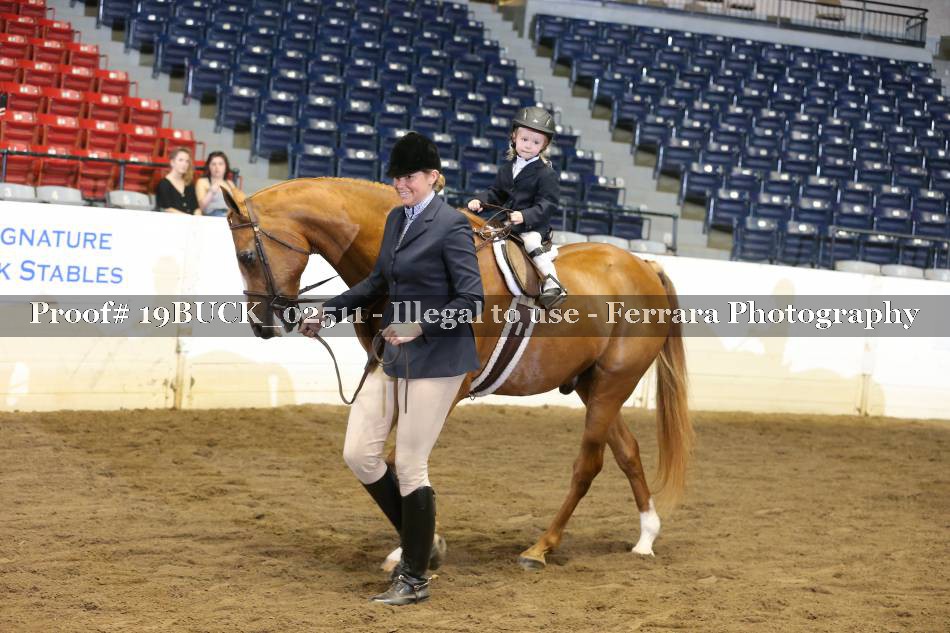Proof 19BUCK_02511