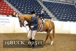 19BUCK_02511 proof