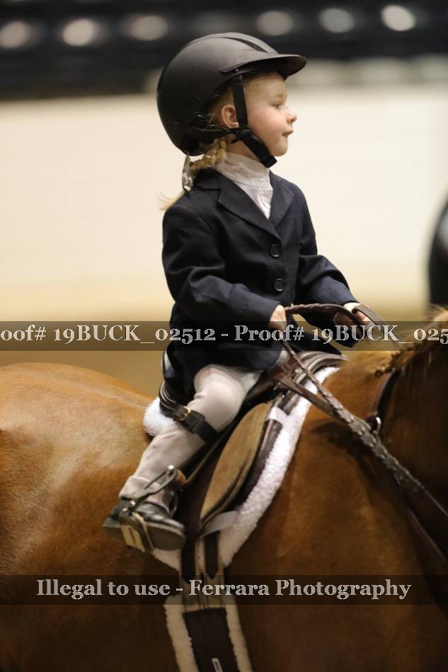 Proof 19BUCK_02512