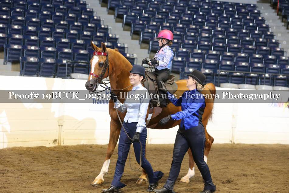 Proof 19BUCK_02513