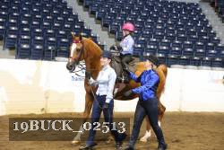19BUCK_02513 proof