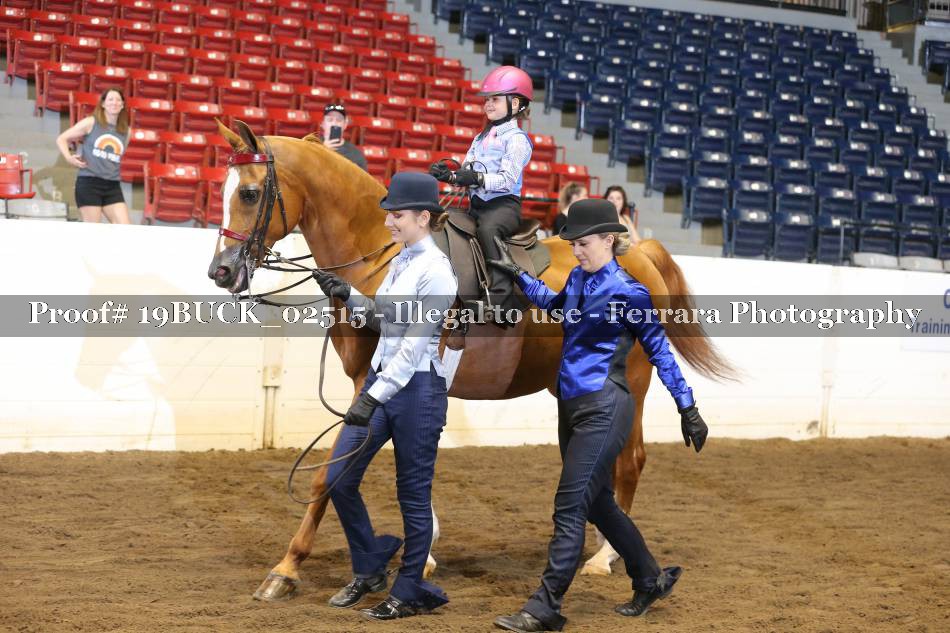 Proof 19BUCK_02515