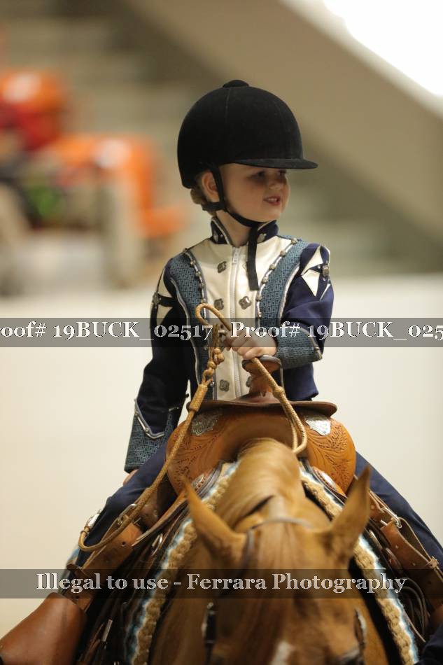Proof 19BUCK_02517