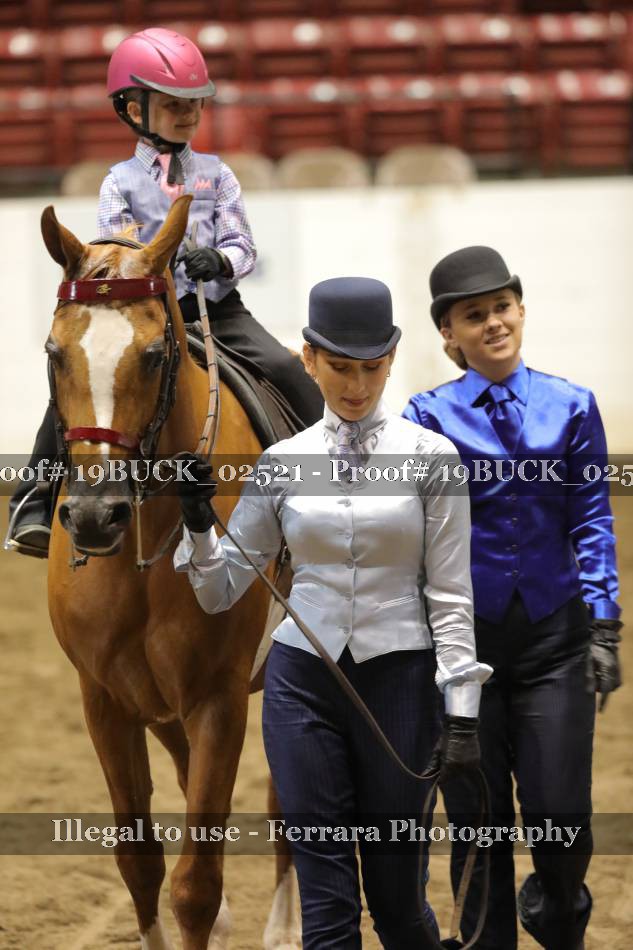 Proof 19BUCK_02521