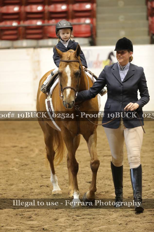 Proof 19BUCK_02524
