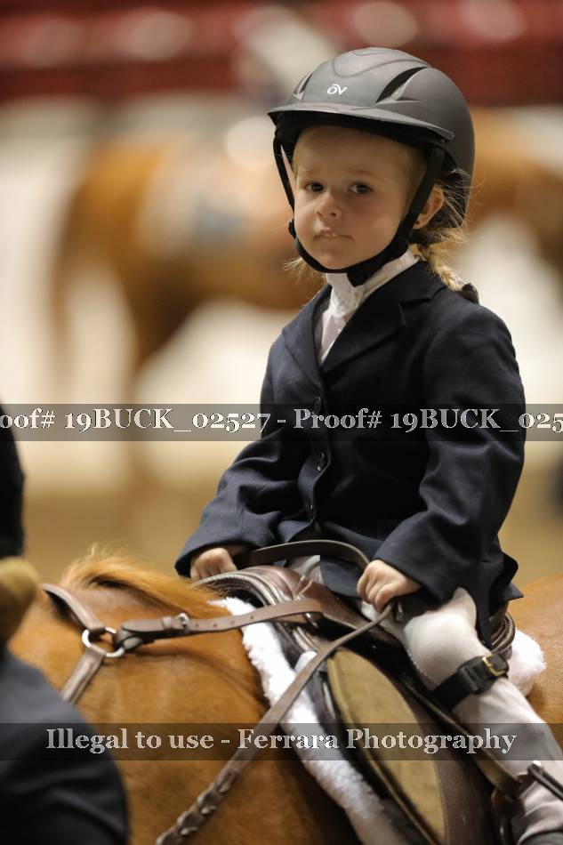Proof 19BUCK_02527