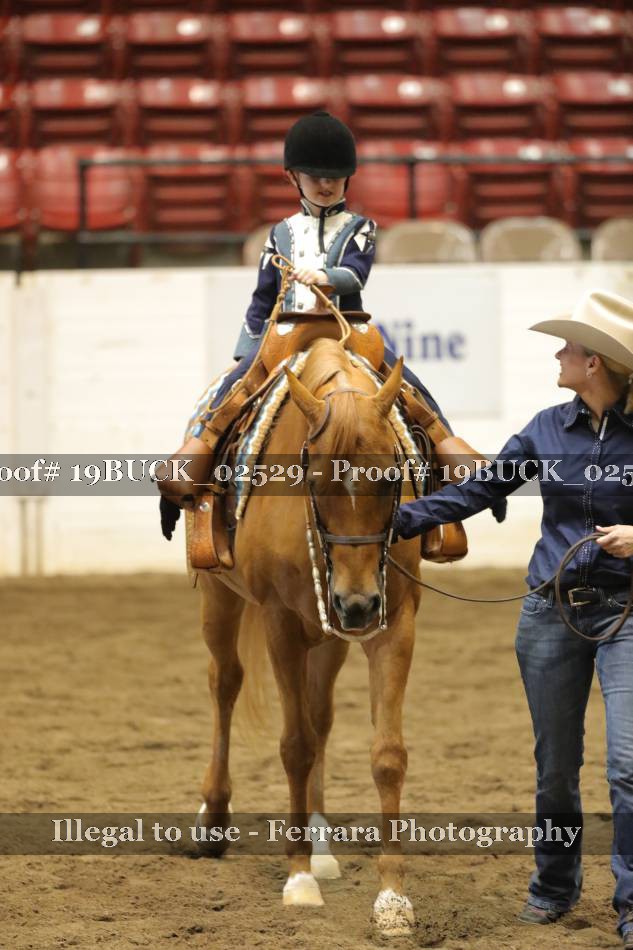 Proof 19BUCK_02529