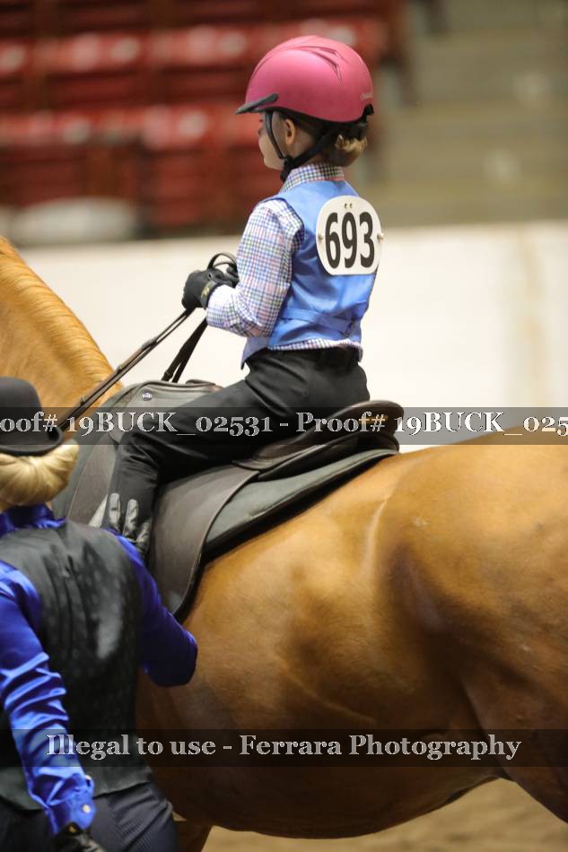Proof 19BUCK_02531