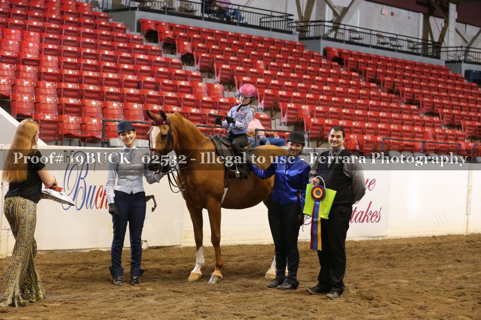 Proof 19BUCK_02532