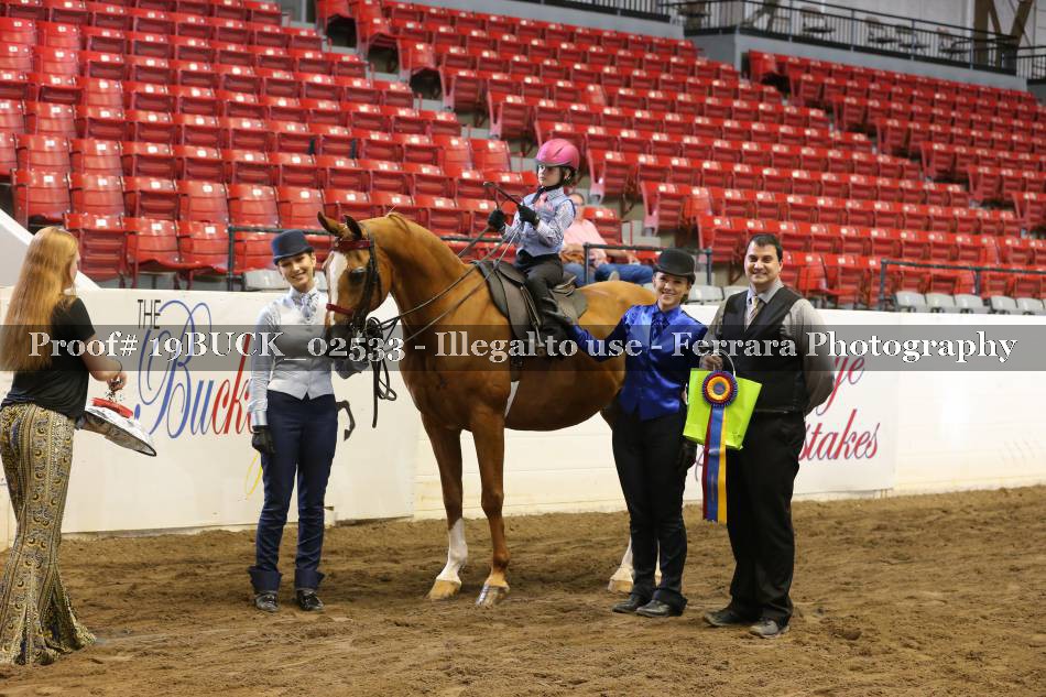 Proof 19BUCK_02533