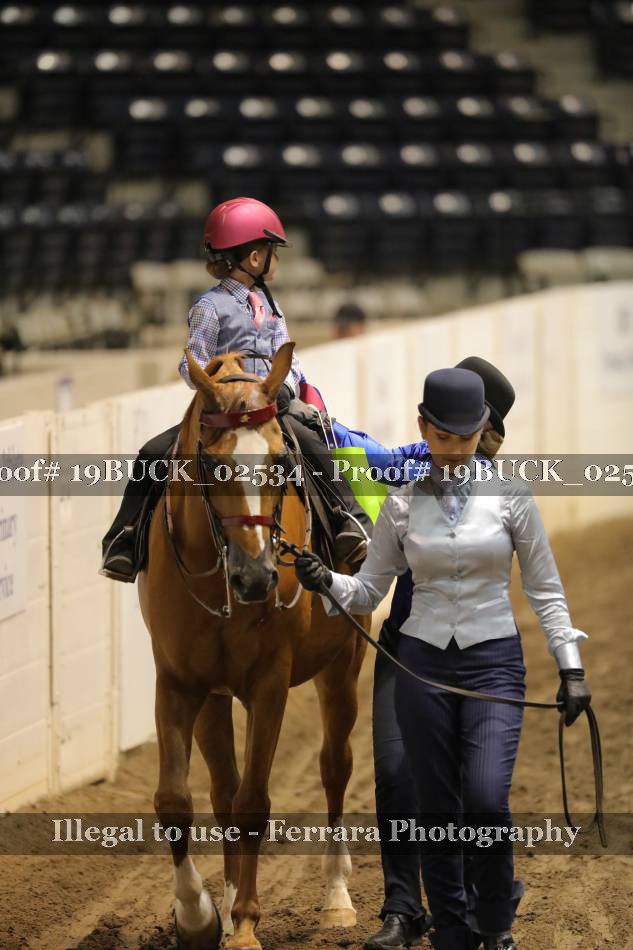 Proof 19BUCK_02534