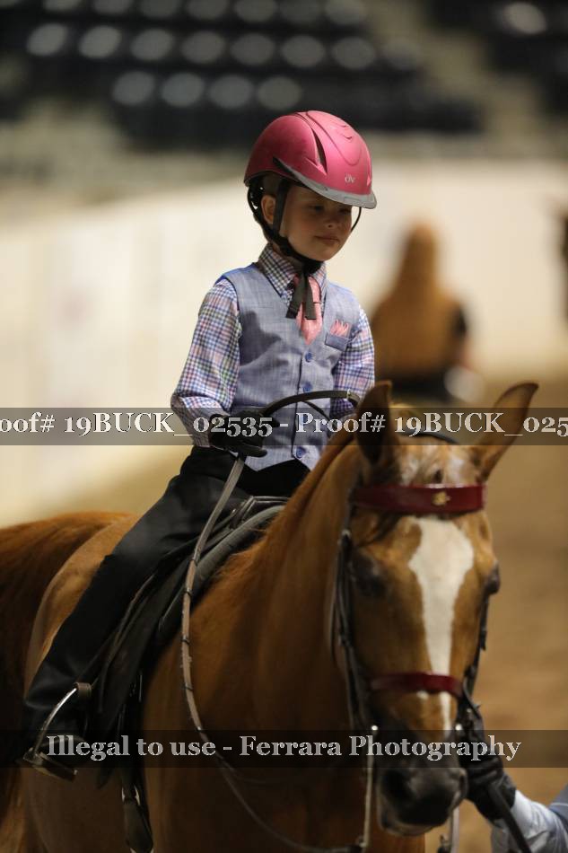 Proof 19BUCK_02535