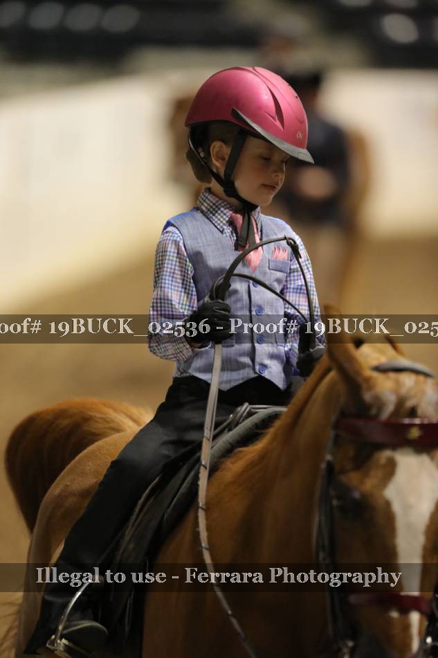Proof 19BUCK_02536