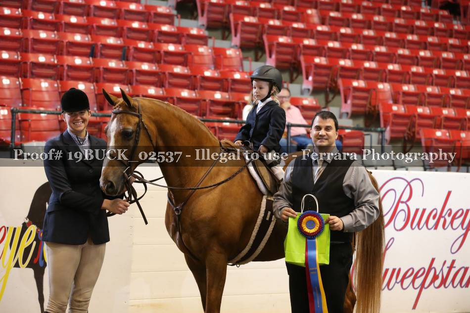 Proof 19BUCK_02537